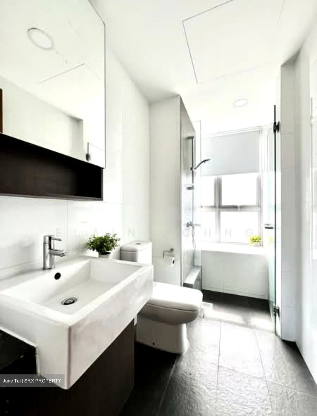 The Parc Condominium (D5), Condominium #589631131